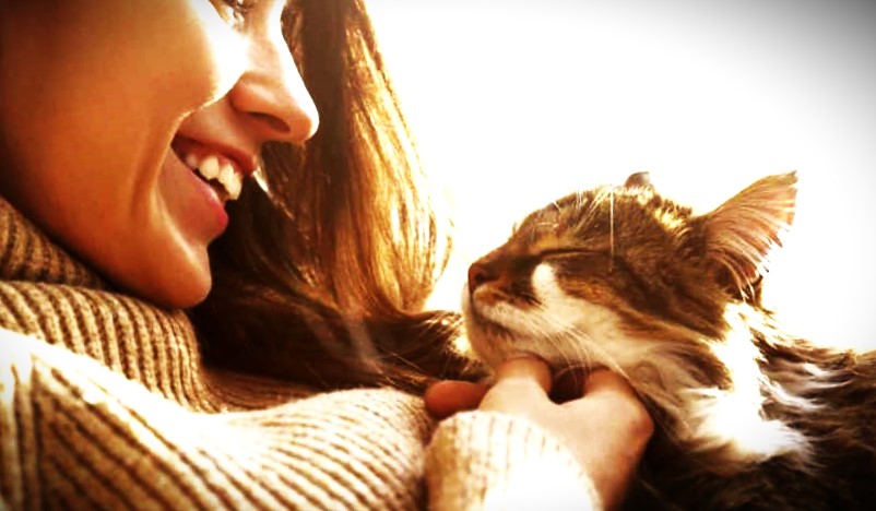 8 Things Your Cat Really Loves